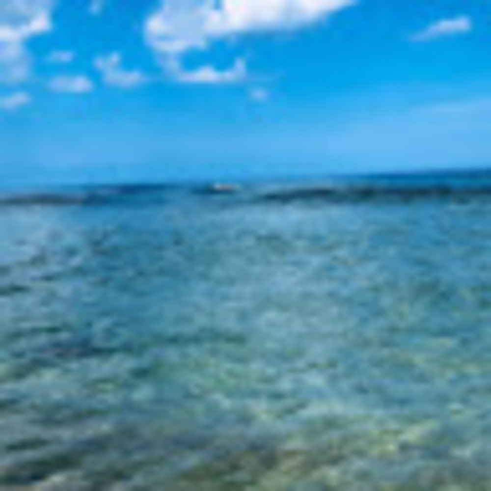 Meet your Posher, Carly